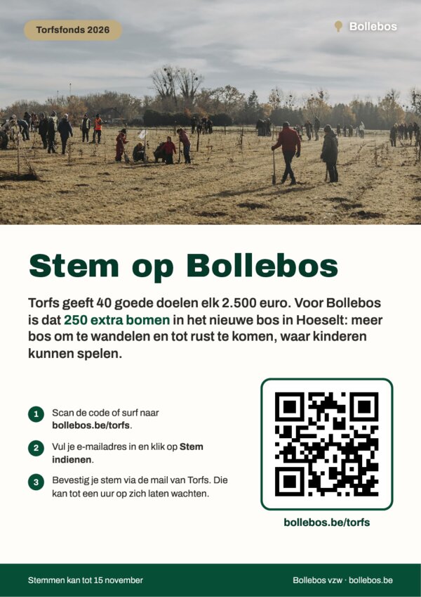Voorbeeld van de affiche