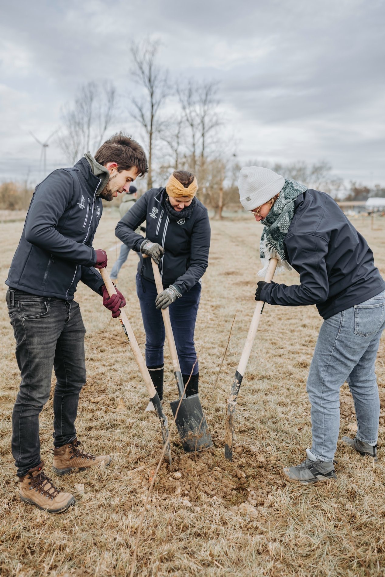 Collega's planten samen