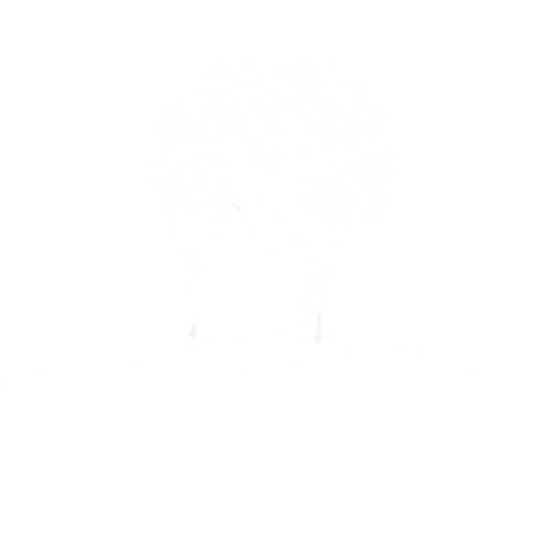 Bollebos