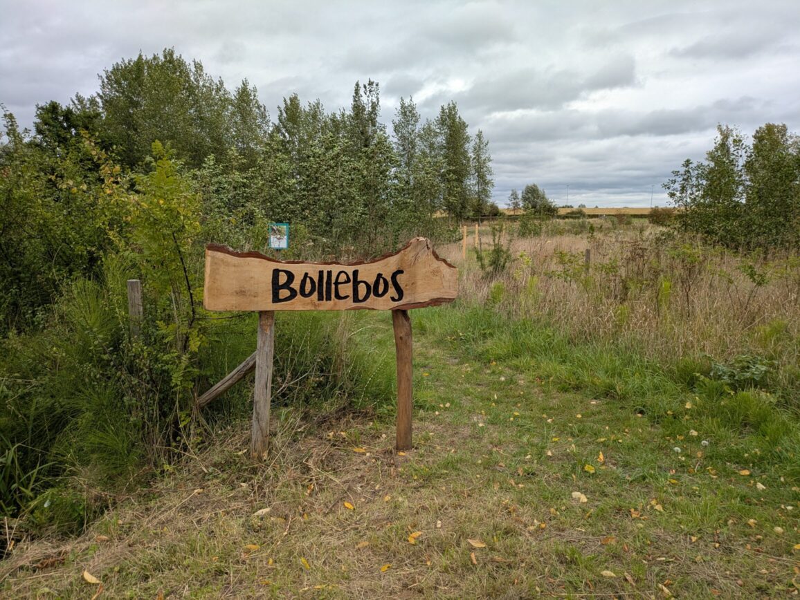 Bollebos vzw Hoeselt